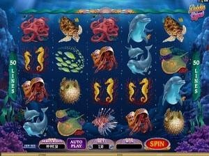 dolphin quest slot