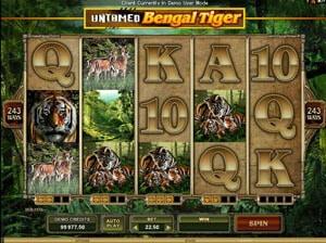 Untamed Bengal Tiger